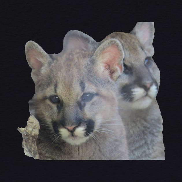 Mountain Lion cubs by Sharonzoolady